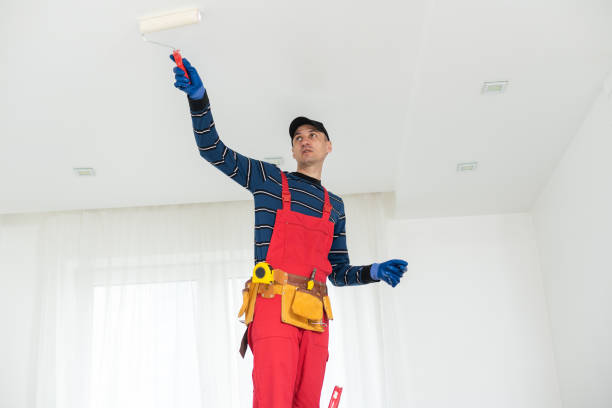  Villa Hills, KY Mold Removal Pros